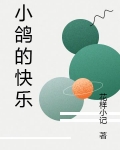 小鸽的快乐