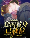 金主大人,您的替身已就位