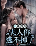 一纸婚约:夫人你逃不掉了