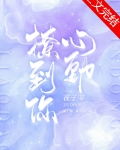 撩到你心动