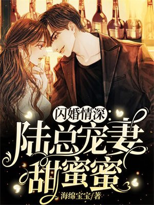 闪婚情深:陆总宠妻甜蜜蜜