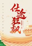 仕途狂飙