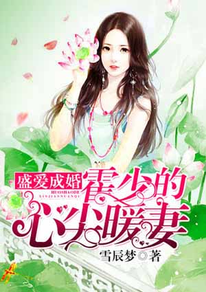 盛爱成婚:霍少的心尖暖妻