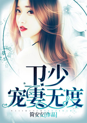 卫少,宠妻无度!