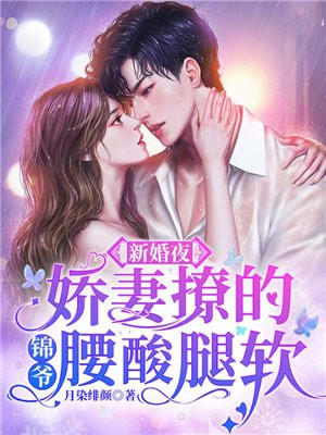 新婚夜,娇妻撩的锦爷腰酸腿软