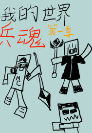 我的世界 兵魂
