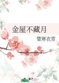 金屋不藏月