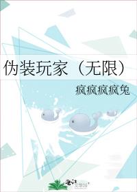 伪装玩家(无限)