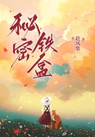 秘密铁盒