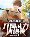 我小鲜肉,开局武力值爆表?
