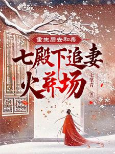 重生后嫁给七王爷的小说
