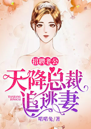 招聘老公:天降总裁追逃妻