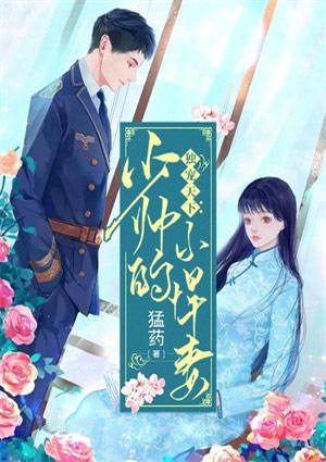 独宠天下:少帅的小悍妻