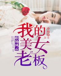 职场风云:我的美女老板