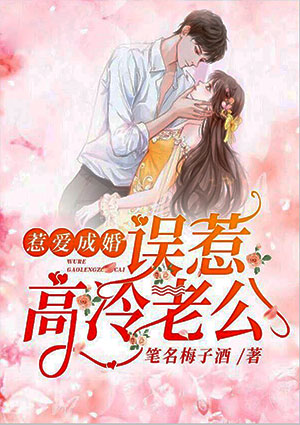 惹爱成婚:误惹高冷老公