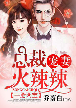 一胎两宝,总裁宠妻火辣辣
