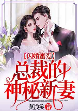 闪婚蜜爱:总裁的神秘新妻