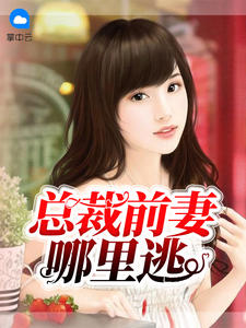 总裁前妻哪里逃