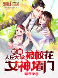 奶爸:人在大学,被校花女神堵门在番茄小说叫什么名字?