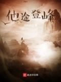大众途昂登峰版