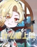 什么鬼上单顶点