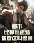 都市比悍匪还猛你管这叫警察