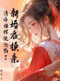 换新郎 小说