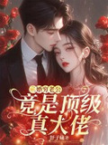 二婚老公是高官的小说